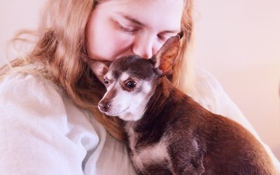 The Benefits of Animals Working with People with Disabilities